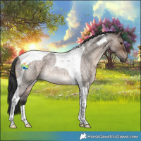 Horse Color:Brown Roan Dun Tobiano Rabicano