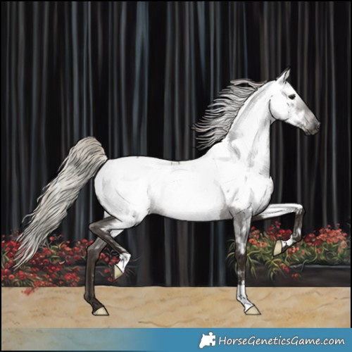 Horse Color:Gray Silver Blue Roan Near Fewspot 