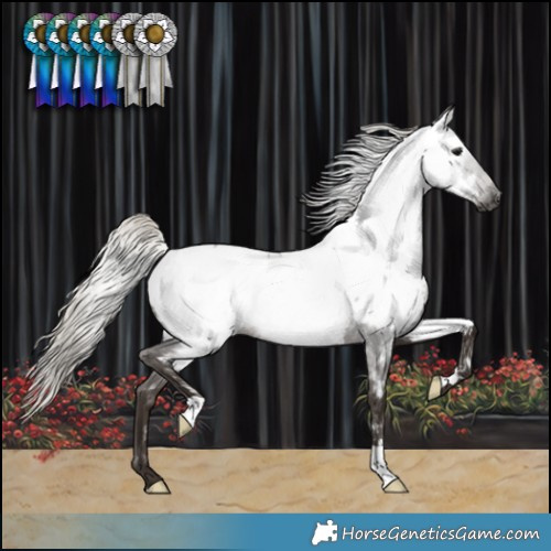 Horse Color:Gray Silver Blue Roan Near Fewspot 