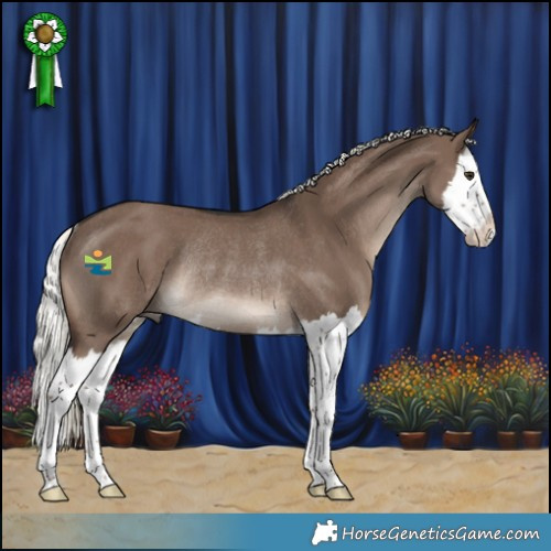 Horse Color:Liver Red Dun Mushroom Splash Rabicano 