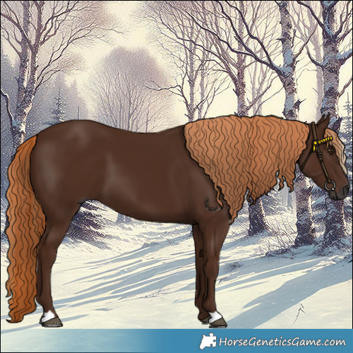 Horse Color:Gray Chestnut 