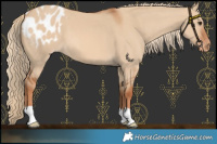 Horse Color:Red Dun Blanket