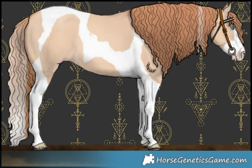 Horse Color:Gold Champagne Dun Splash Tobiano 