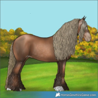 Horse Color:Gray Liver Chestnut Pearl Mushroom