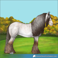 Horse Color:Gray Liver Red Roan Pearl Frame