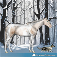 Horse Color:Chocolate Palomino Pearl Tobiano Rabicano 