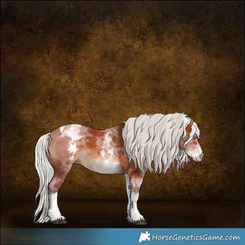 Horse Color:White Spotted Silver Bay Merle Tobiano 