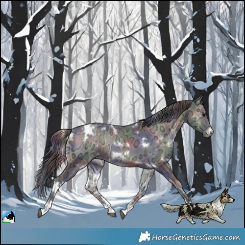 Horse Color:Nacre White Spotted Blue Onyx Ice