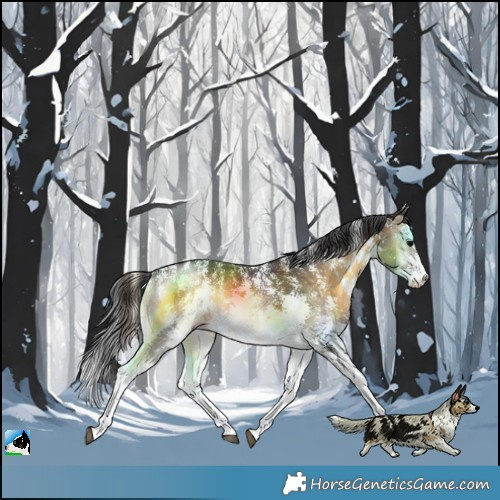 Horse Color:Buckskin Onyx Sabino Rabicano 