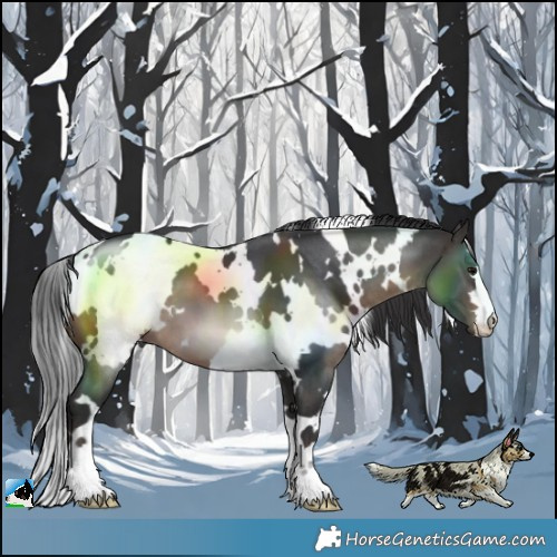 Horse Color:White Spotted Brown