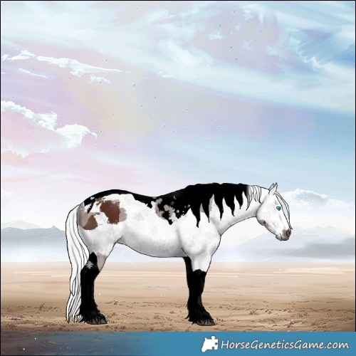 Horse Color:Void Silver Brown Merle Tobiano 