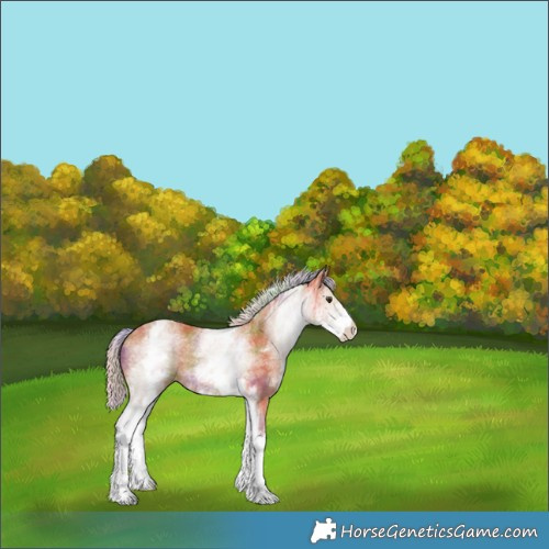 Horse Color:Nacre White Spotted Silver Bay Rabicano 