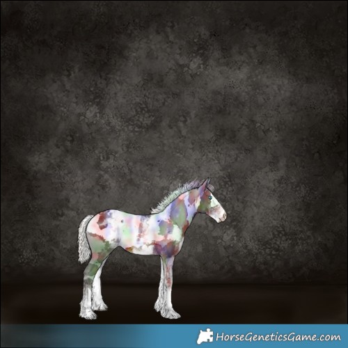 Horse Color:Nacre White Spotted Silver Brown Merle 