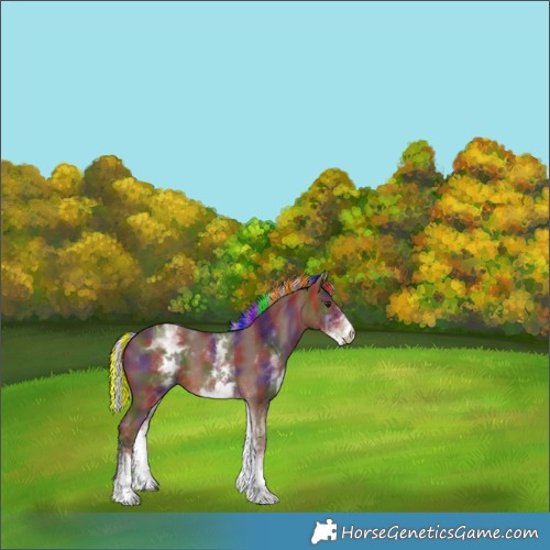 Horse Color:Painted Nacre White Spotted Silver Bay 