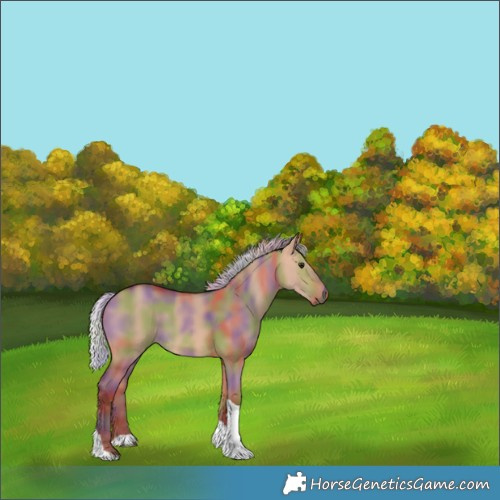 Horse Color:Nacre Silver Bay Dun Tobiano 