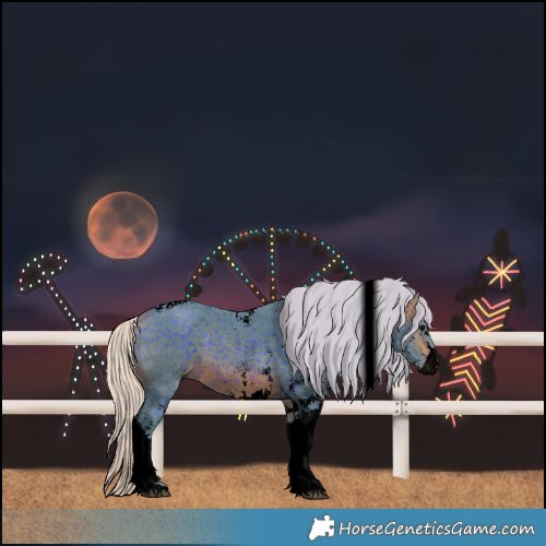 Horse Color:Void Watercolor White Spotted Silver Brown Tobiano Rabicano 