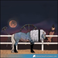 Horse Color:Void Watercolor White Spotted Silver Brown Tobiano Rabicano