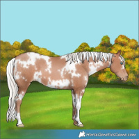 Horse Color:White Spotted Silver Brown Pearl Mushroom