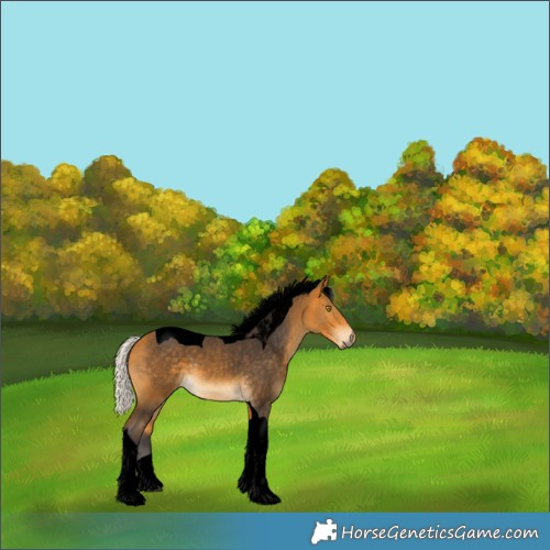 Horse Color:Void Silver Buckskin Tobiano 