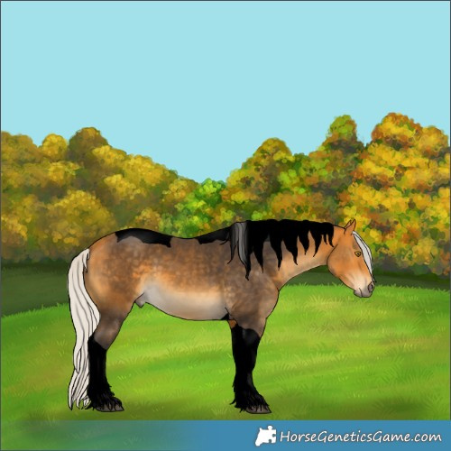 Horse Color:Void Silver Buckskin Tobiano 