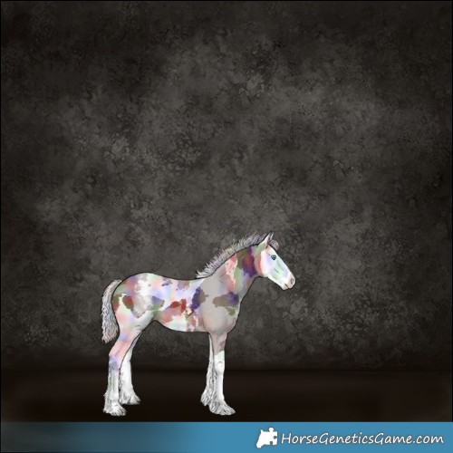 Horse Color:Nacre White Spotted Silver Brown Merle 