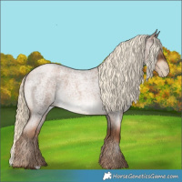 Horse Color:Gray Liver Red Roan Pearl Mushroom