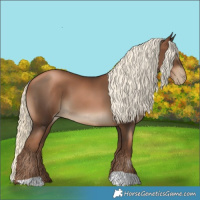 Horse Color:Gray Liver Chestnut Pearl Mushroom