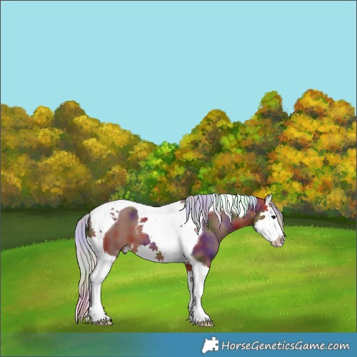 Horse Color:Nacre Silver Bay Splash Tobiano 