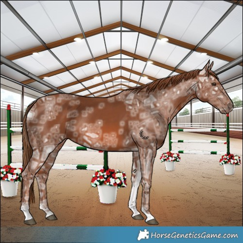 Horse Color:Chestnut Ice 