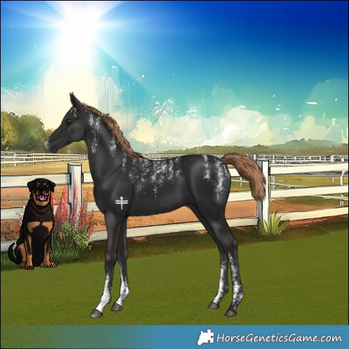 Horse Color:Powder White Liver Chestnut