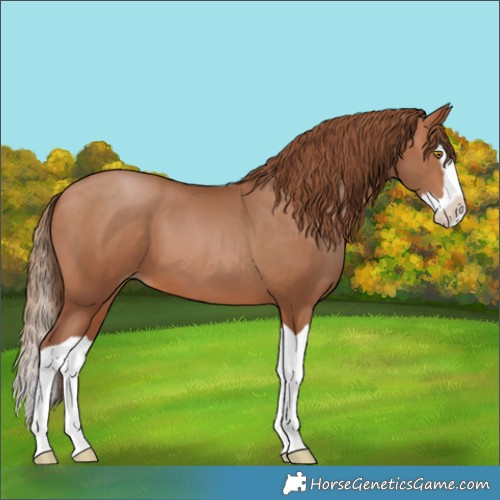 Horse Color:Brown Pearl Splash