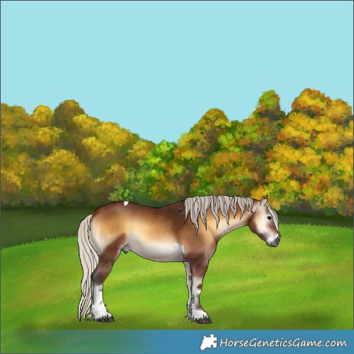 Horse Color:Gray Silver Bay Onyx Tobiano 
