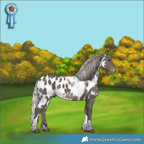 Horse Color:White Spotted Silver Black Tobiano Skewed Appaloosa 