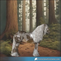 Horse Color:White Spotted Silver Buckskin Merle Tobiano
