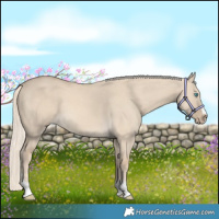 Horse Color:Cremello Dun 
