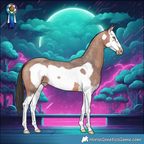 Horse Color:Bay Roan Splash Frame Skewed Appaloosa 