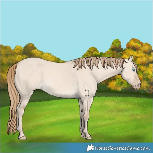 Horse Color:Perlino Dun 