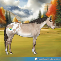 Horse Color:Liver Red Dun Varnish 