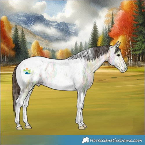 Horse Color:Buckskin Ice Onyx Tobiano Appaloosa