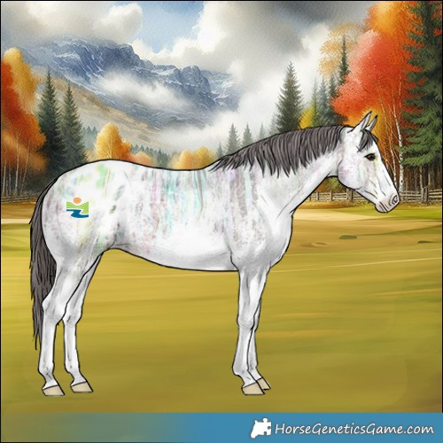 Horse Color:White Spotted Brown Ice Appaloosa 