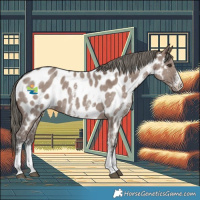 Horse Color:Liver Red Dun Mushroom Sabino Near Leopard 