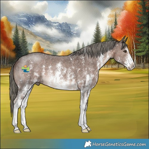 Horse Color:Liver Chestnut Mushroom Sabino 