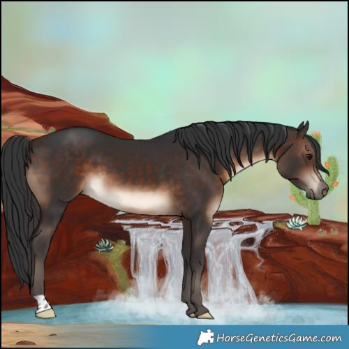 Horse Color:Brown 