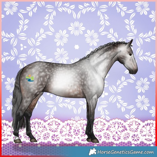 Horse Color:Gray Bay 
