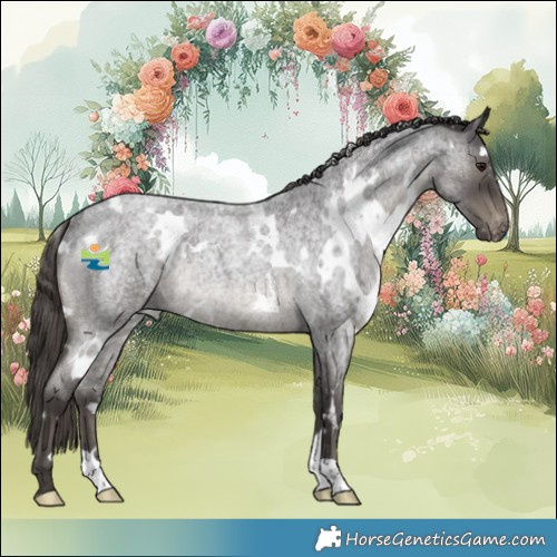 Horse Color:White Spotted Smoky Blue Roan Appaloosa Rabicano 