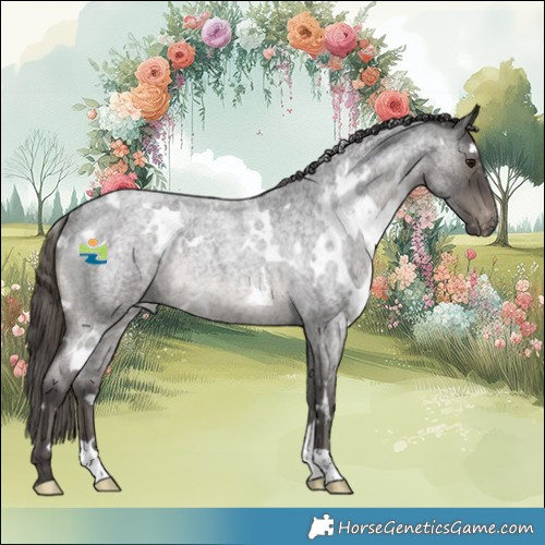 Horse Color:White Spotted Smoky Blue Roan Varnish Rabicano 