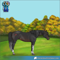 Horse Color:Brown Tobiano Rabicano