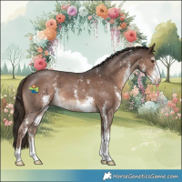 Horse Color:Liver Chestnut Sabino Varnish