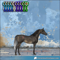 Horse Color:Buckskin
