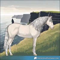 Horse Color:Cremello Tobiano 